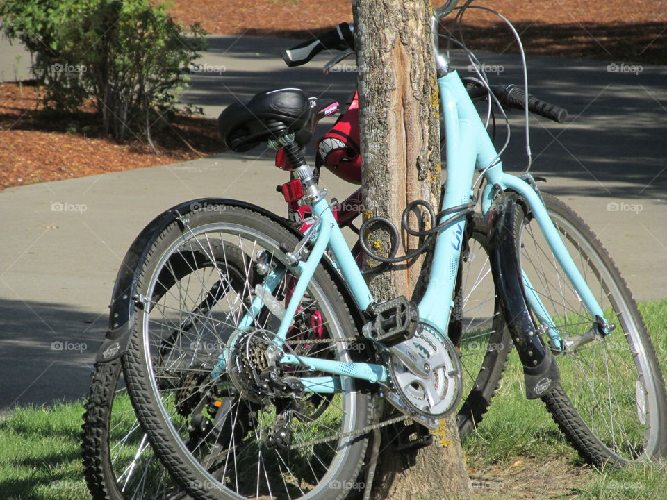 bikes tied to pole