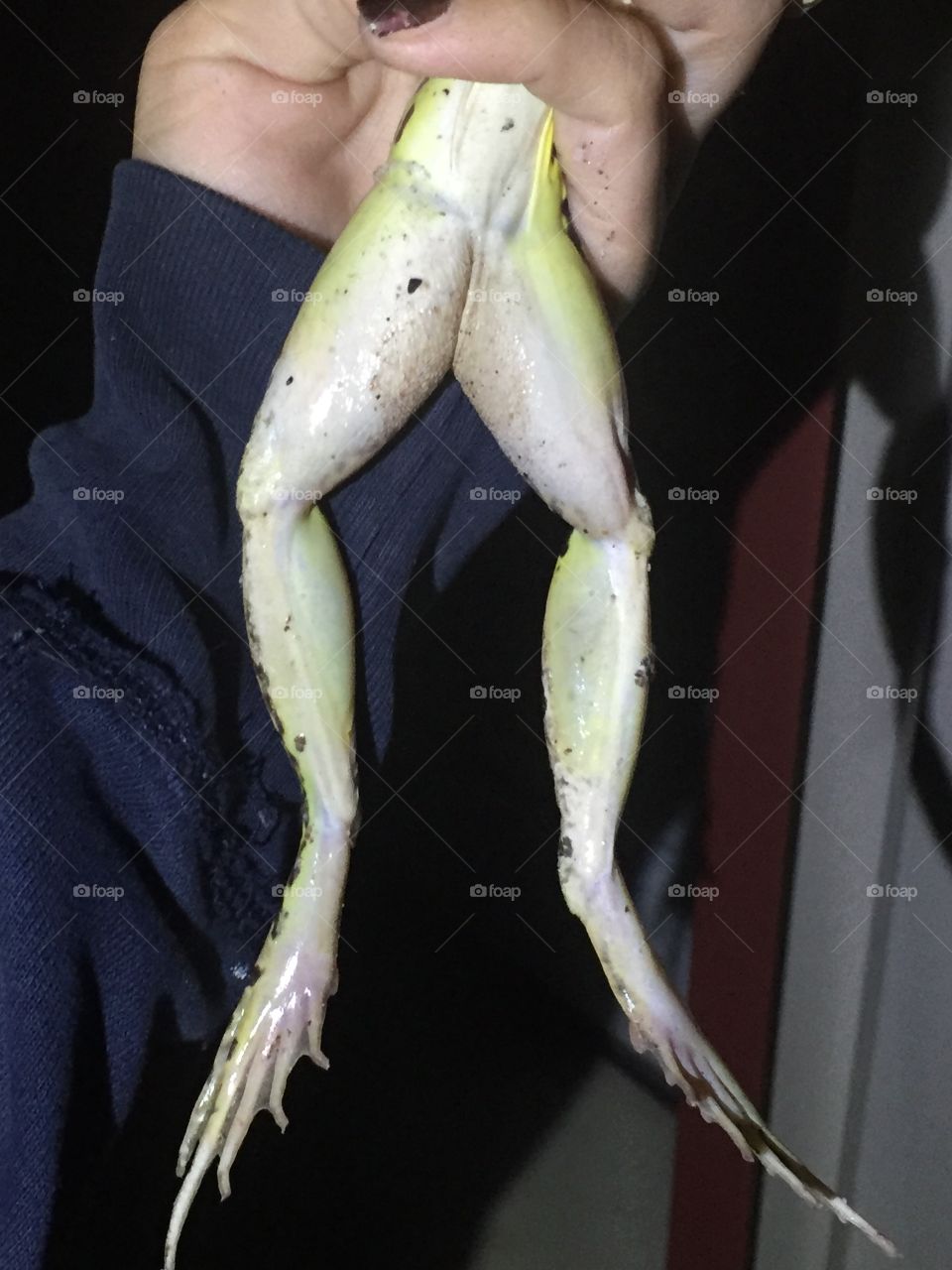 Frog legs