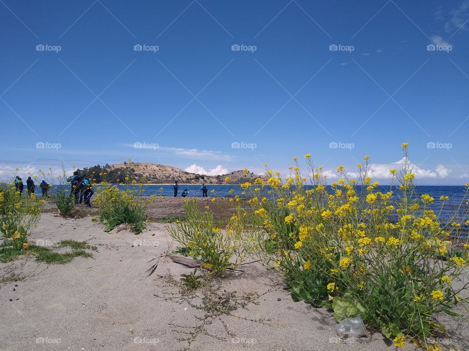 Isla Suasi a orillas del Lago Titicaca