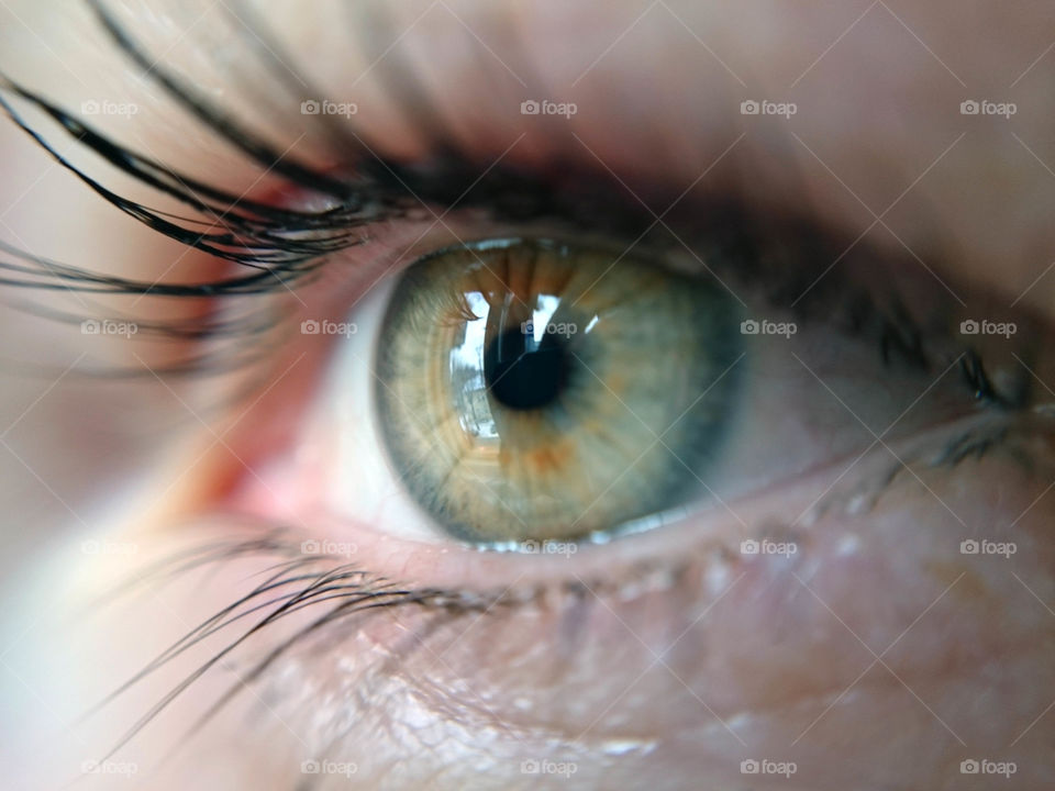 Green eye extreme close-up