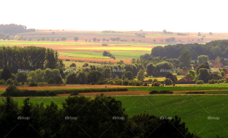 French landscape