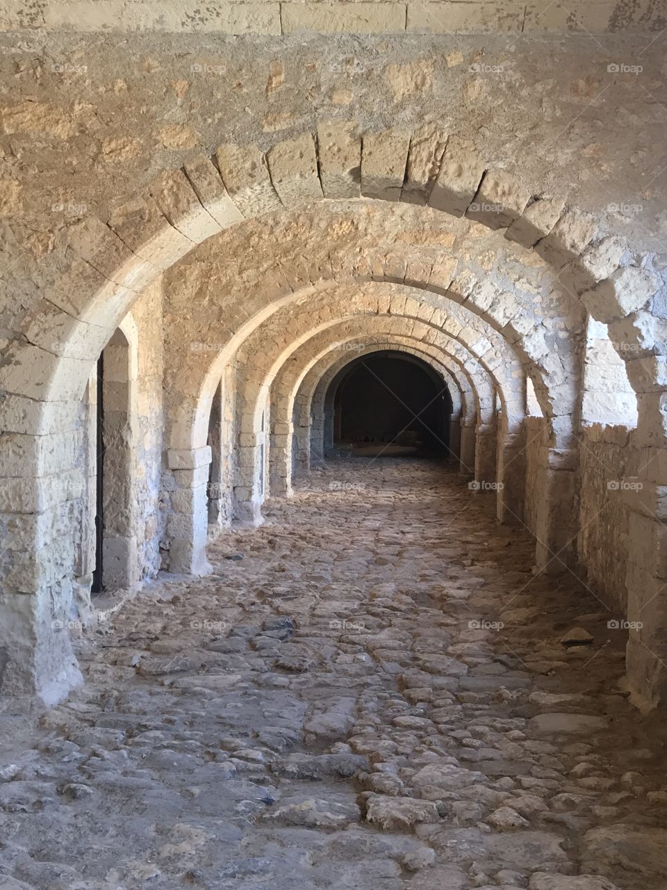 Never ending arched Rhodes road