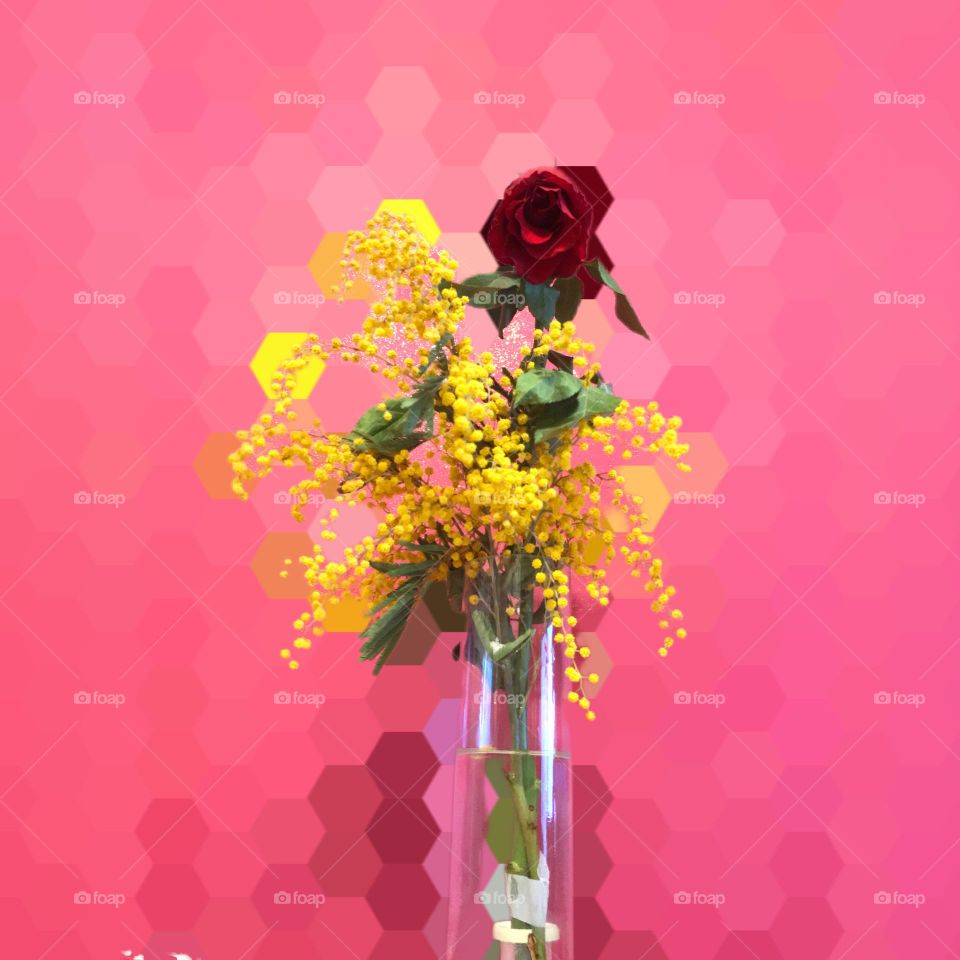 Flower in vase 