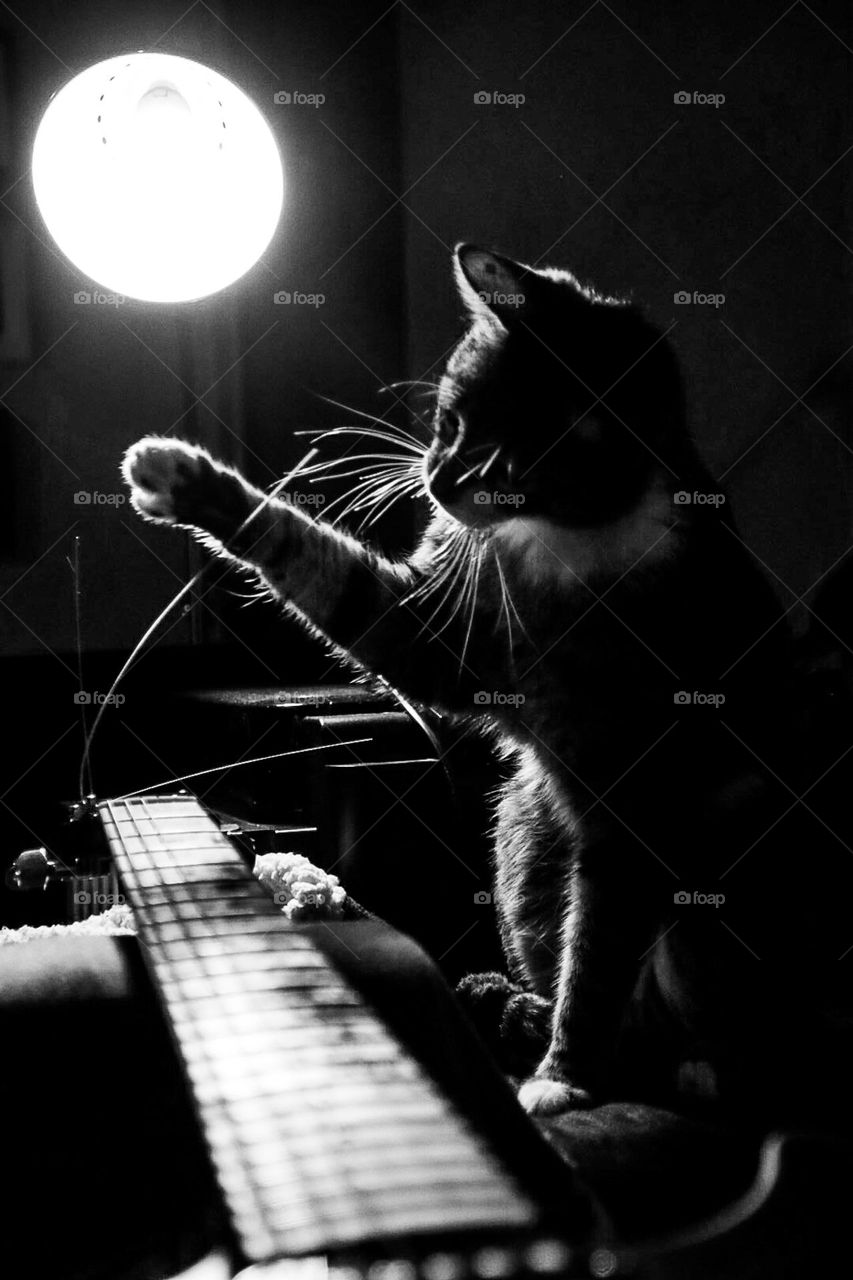 Moustaches and strings at play