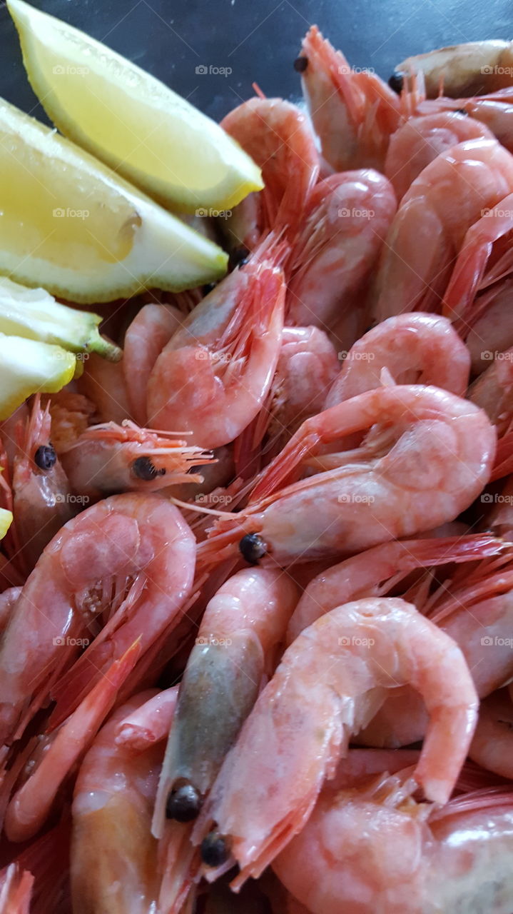 fresh shrimps