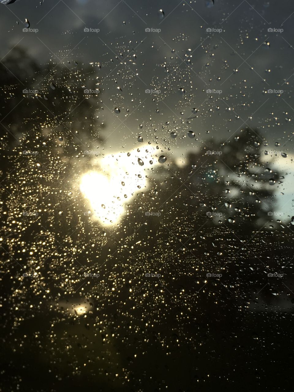 Sun through the rain 