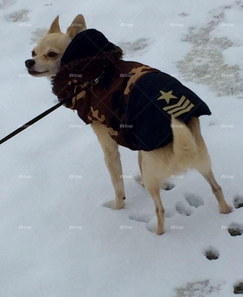 Piper in his military jacket