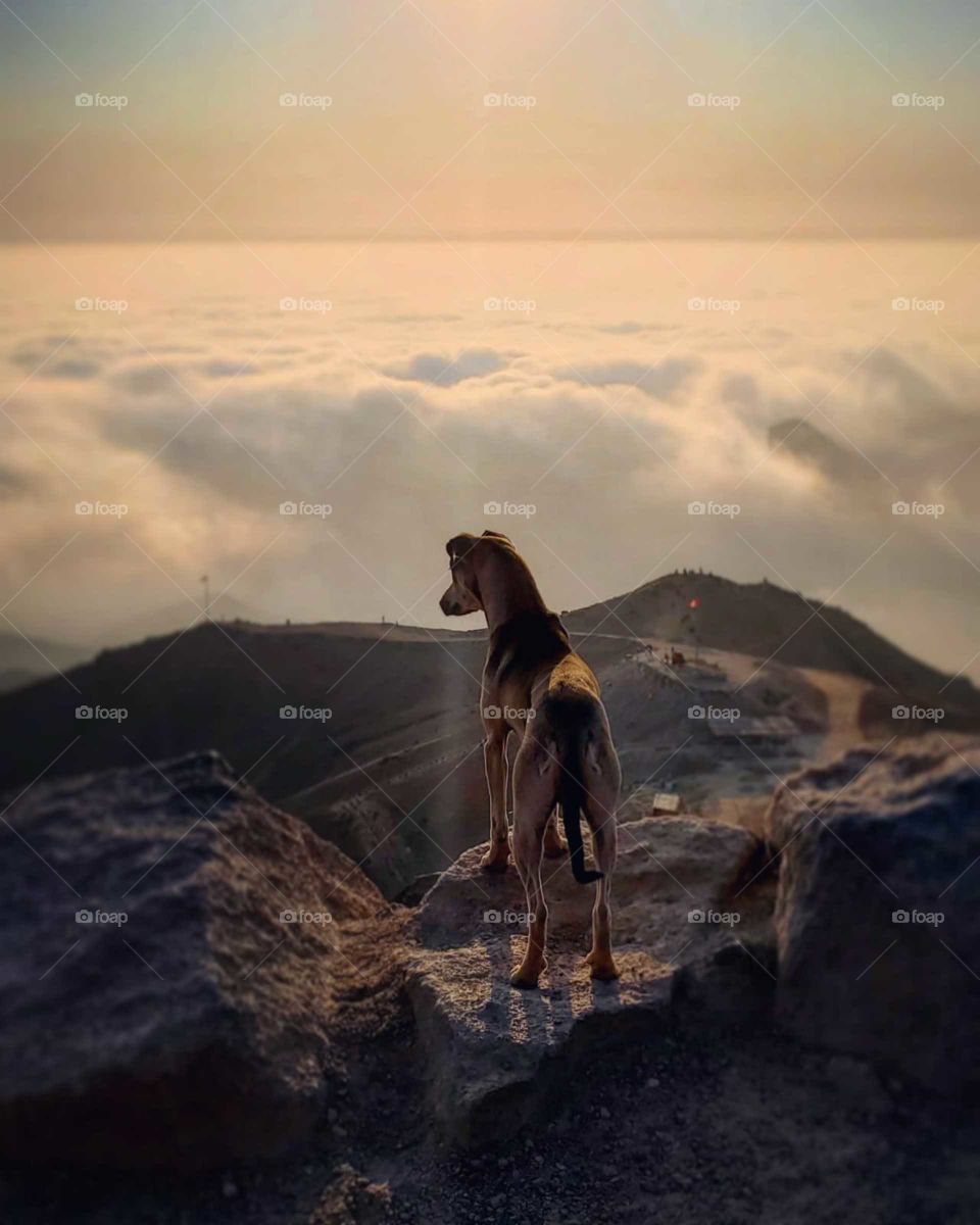 Apu Siqay. Lima Perú