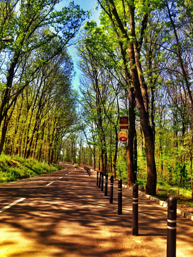 Spring