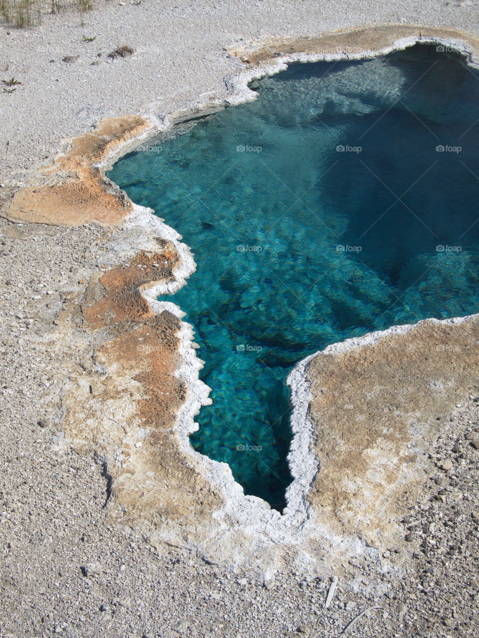 The magnificent turquoise waters of Blue Star Spring on Geyser Hill in Yellowstone National Park in Northern Wyoming on a summer day. 