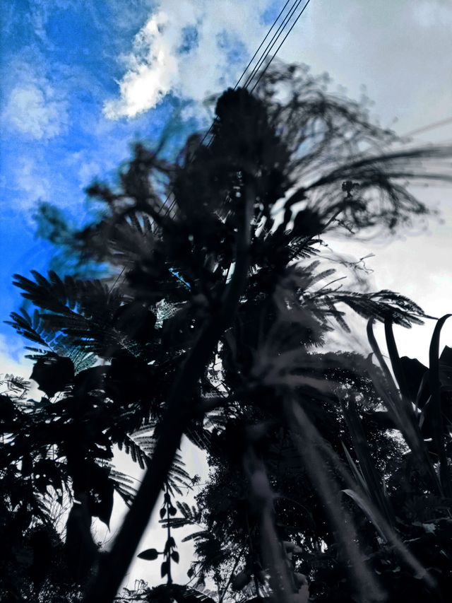 sky