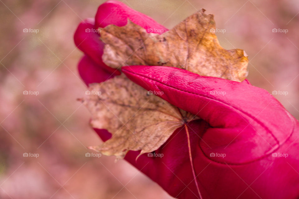 leaf at the hand