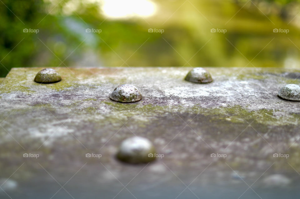 Textured metal with rivets and algae