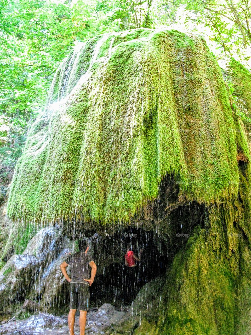 waterfall in the forest