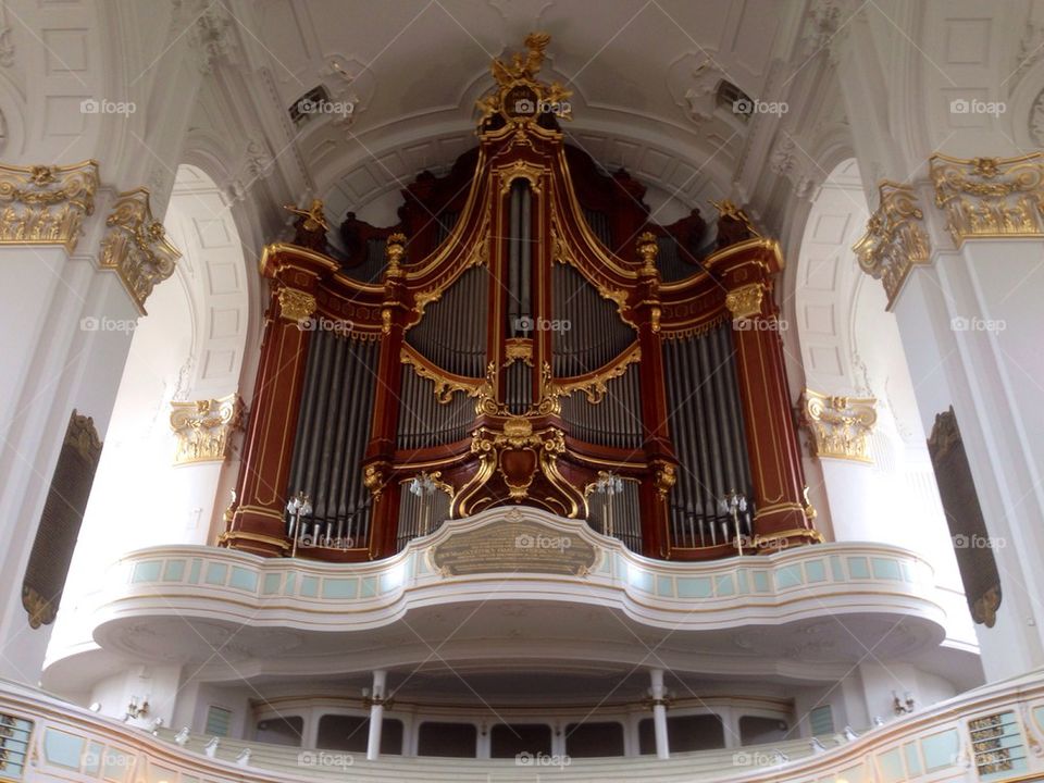 Organ 