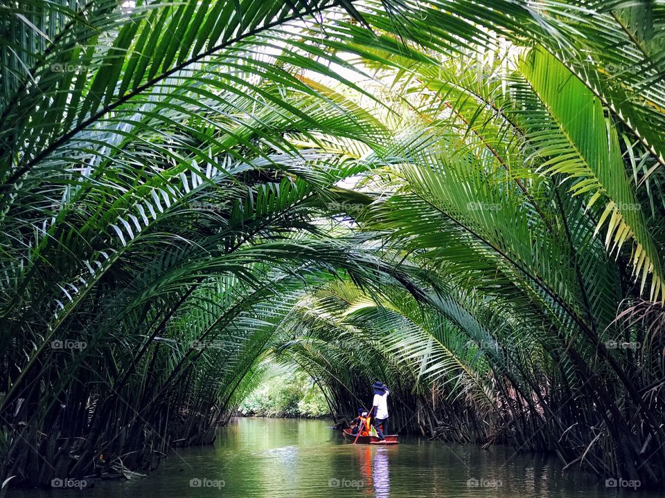 Rowing boat passes through the tunnel of nipa palm leaves in Surat Thani, southern province of Thailand.