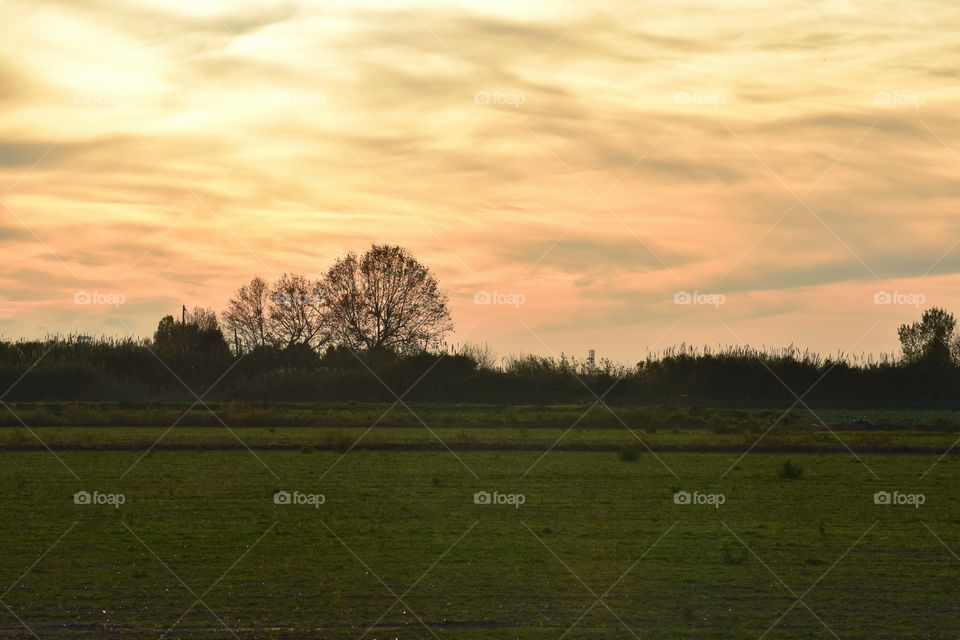 Scenic view of the country in autumn