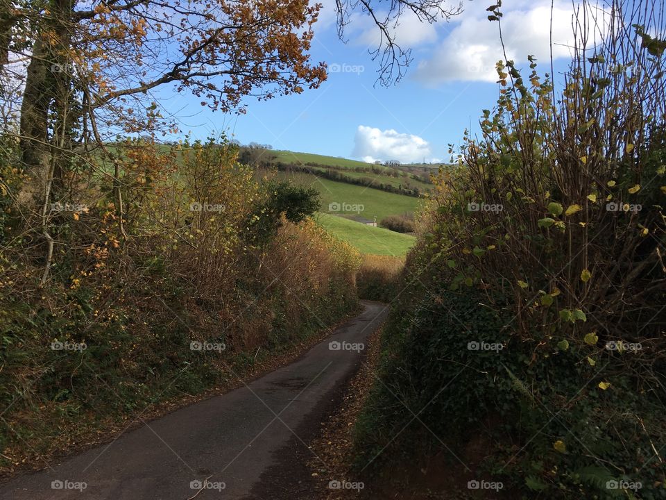 Love the blue sky Devon countryside.