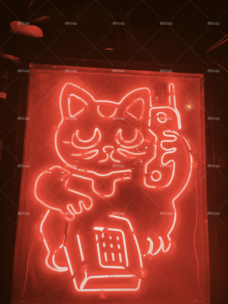 Lucky cat