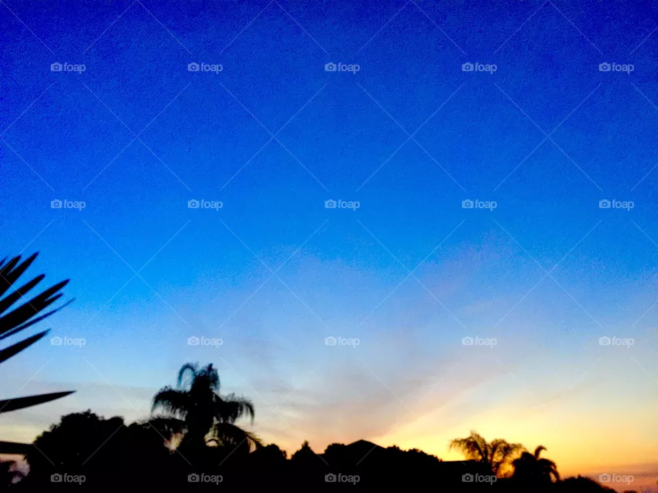 Sunrise