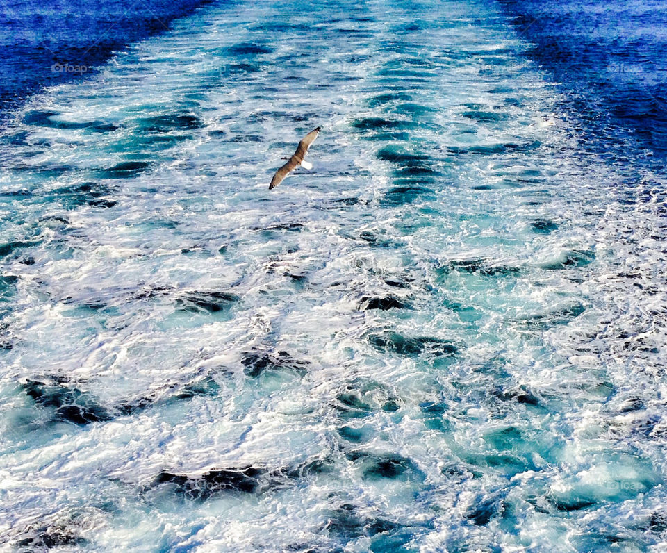 Water - sea - wash from the back of a ferry. 