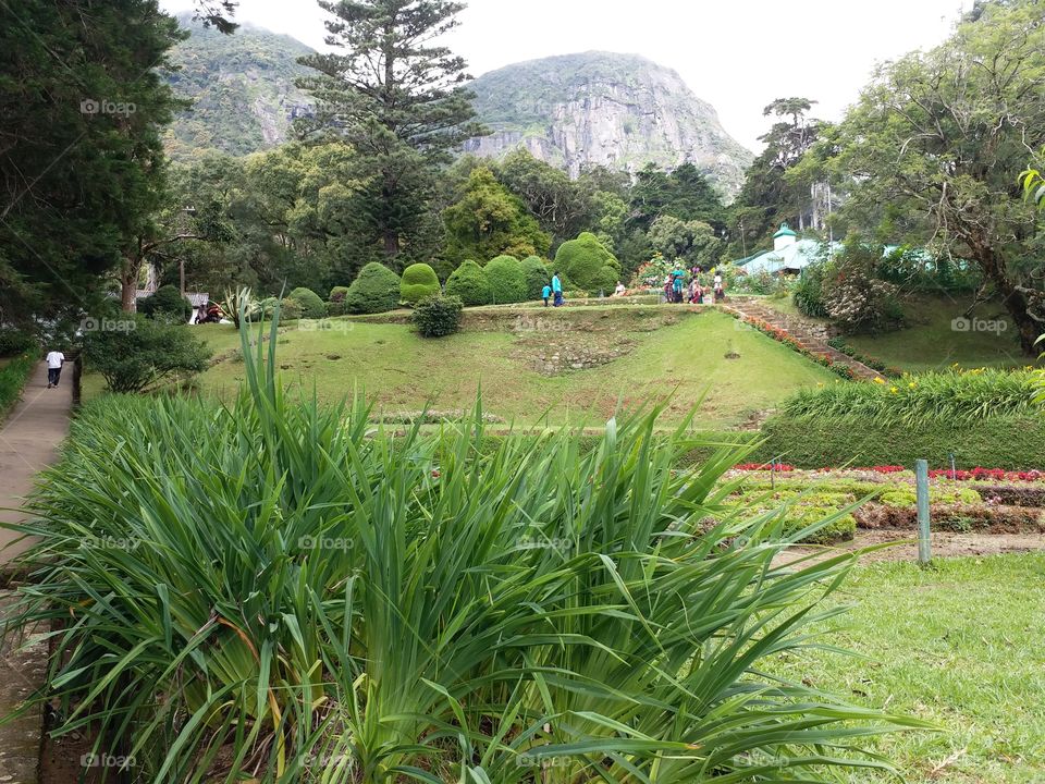 garden