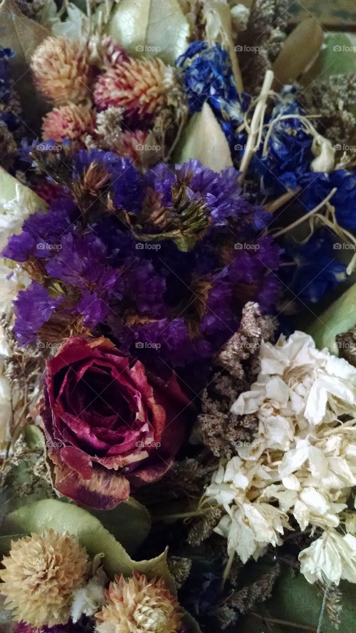 Dried flowers III