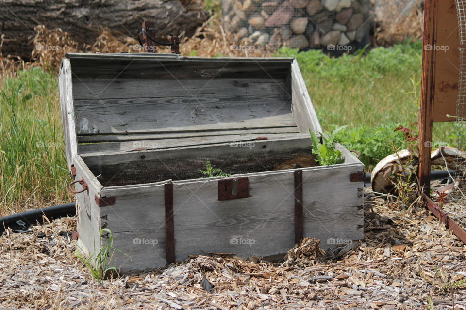 Open wooden chest outside filled with weeds