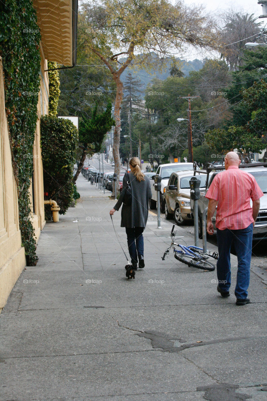 Street, walking people 