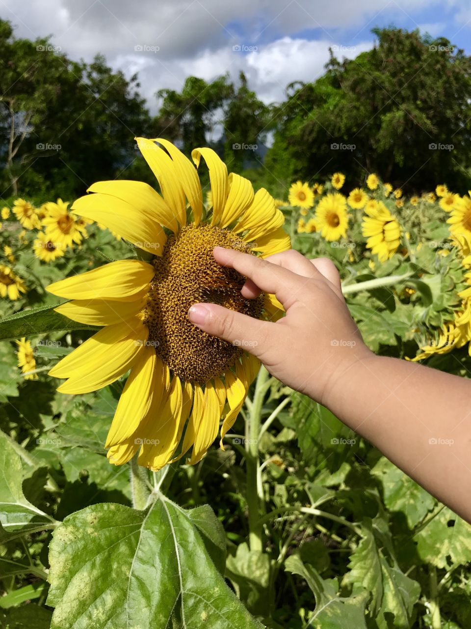 First time touching a flower :)