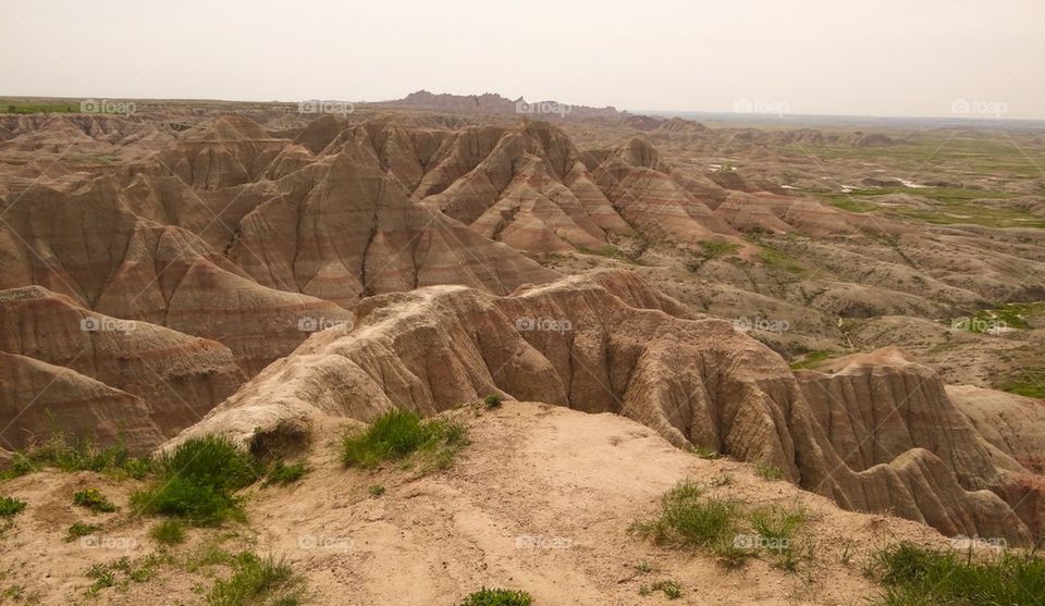 Trip to South Dakota