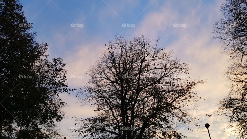 Red Sky at Night, Shepherds Delight