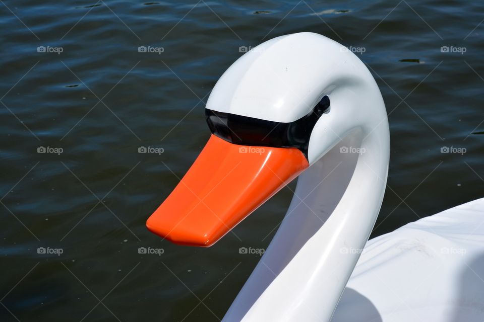 Swan Boat