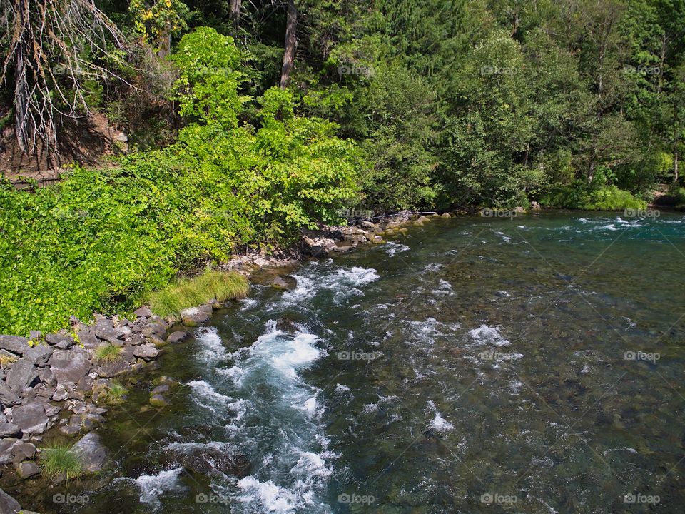 The beautiful waters of the McKenzie River rush along its lush green banks in the Willamette National Forest in Western Oregon on a sunny summer day. 