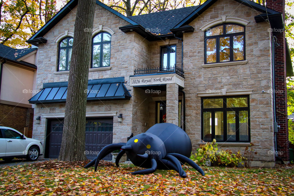 Huge inflatable spider decoration for Halloween