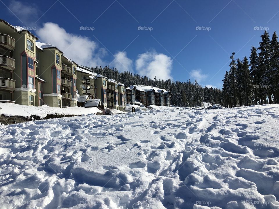 Foot prints on the snow