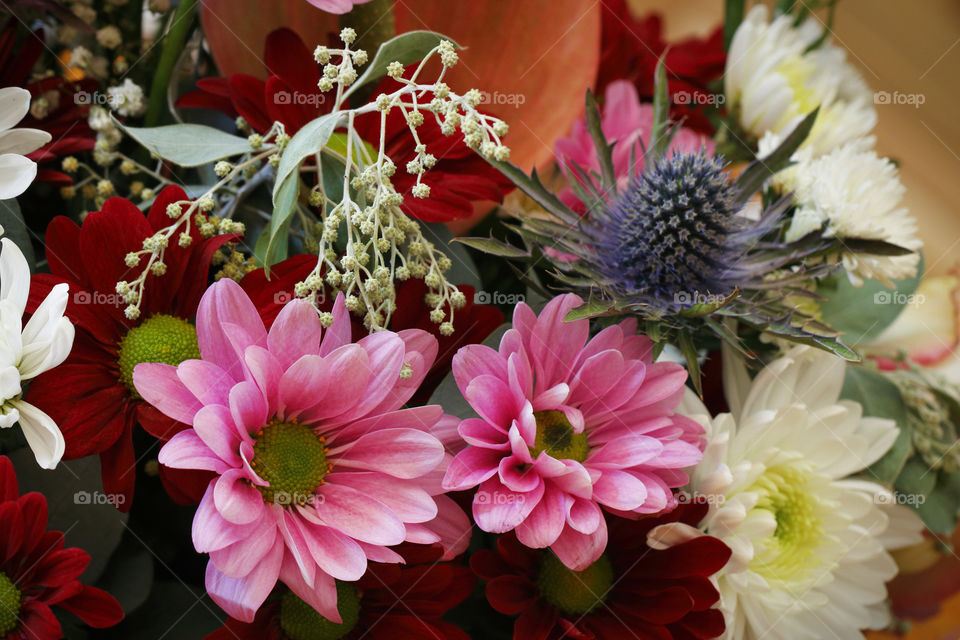 Gorgeous flower arrangement, pale pastel colours