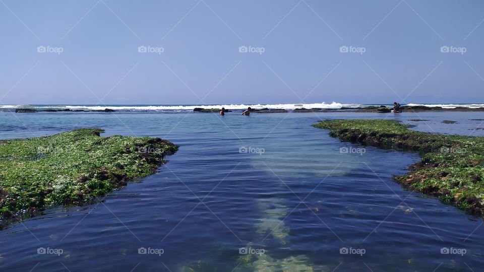 natural swimming pool