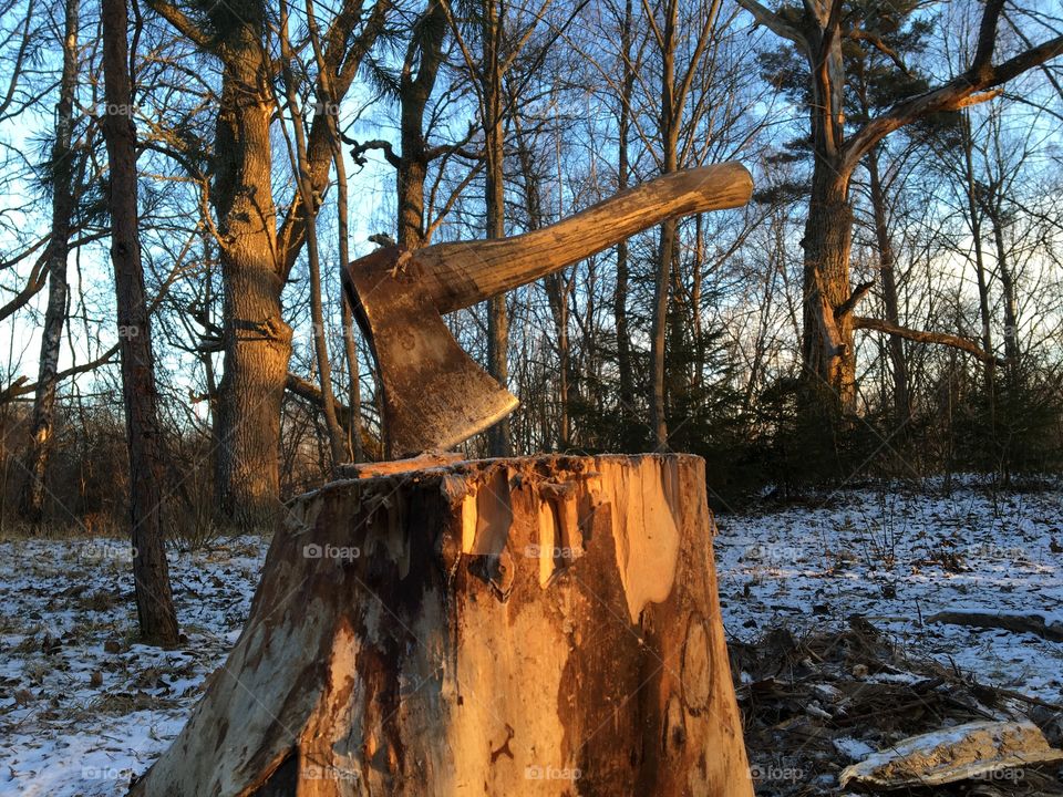 Brutal axe stuck in stump in winter forest, sunset. 