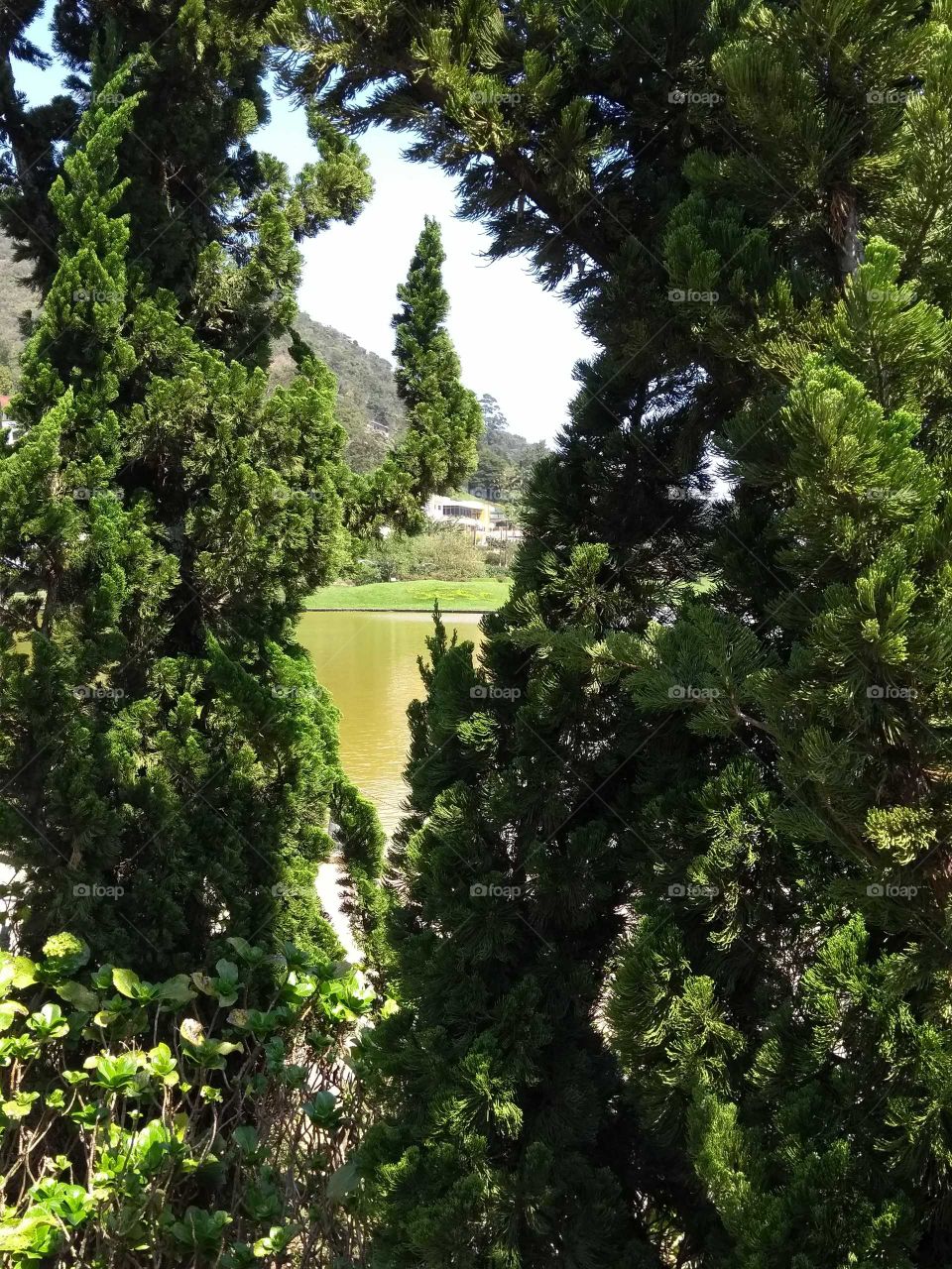 Maravilhosamente linda