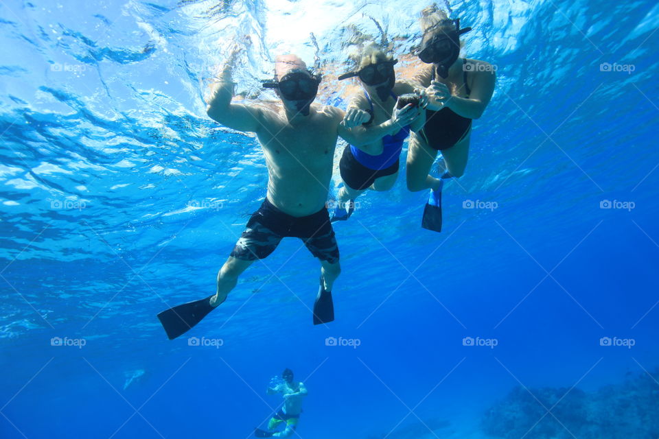 Underwater, Swimming, Water Sports, Water, Fish