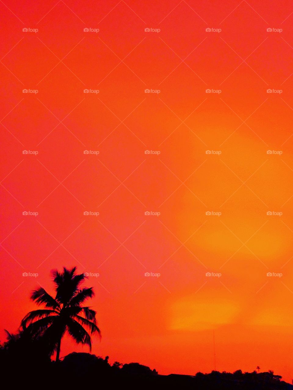 Beauty of nature in Africa.