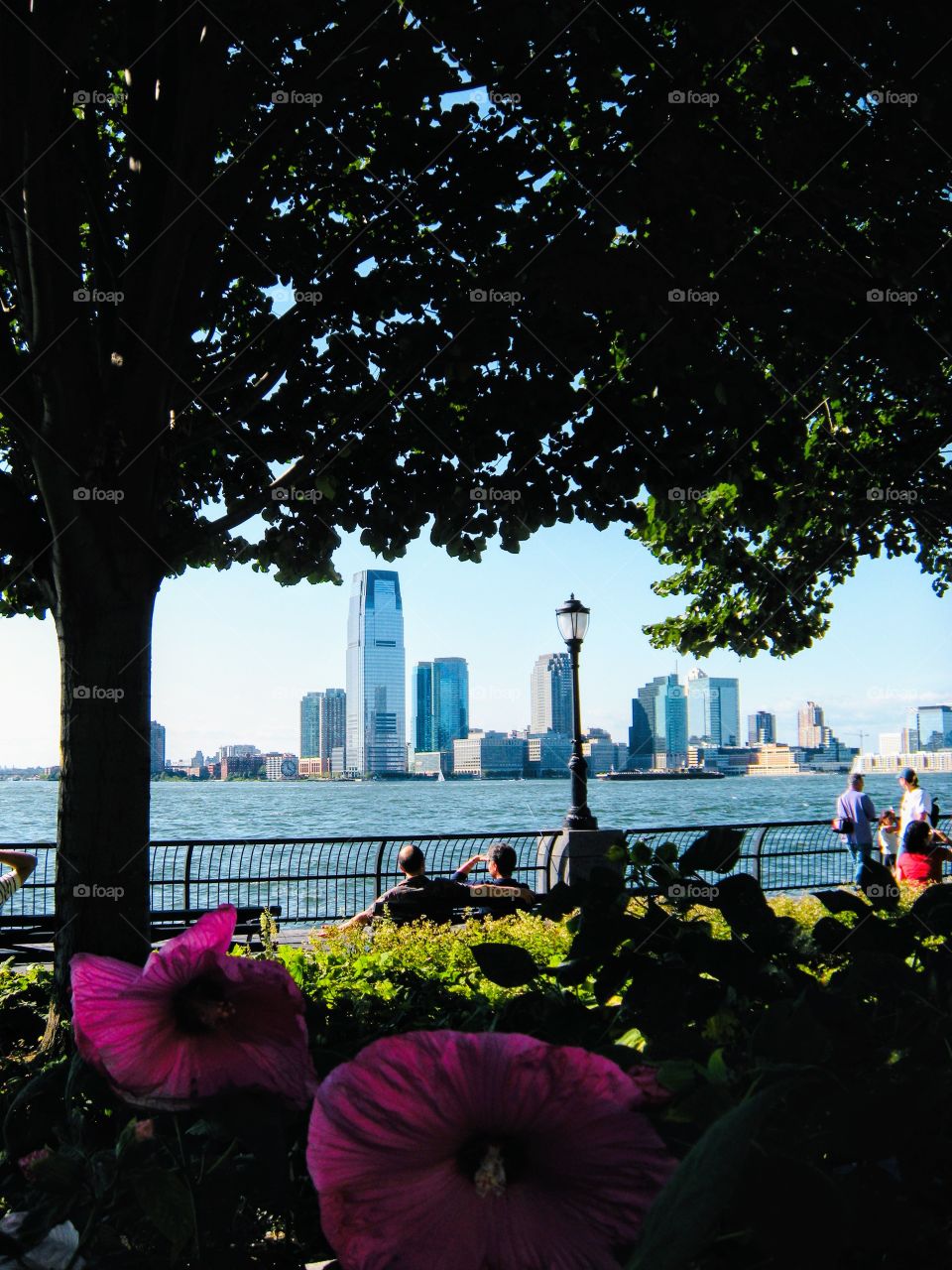 The Jersey City skyline from Battery Park 