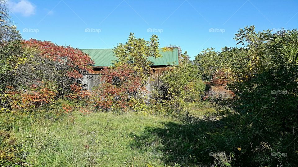 House, Tree, Wood, No Person, Building