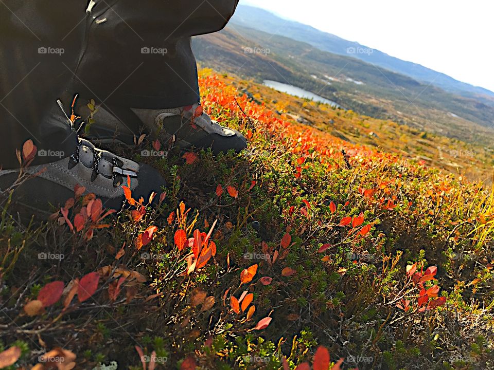 Flå, Hallingdal. Hiking in the beautiful autumn