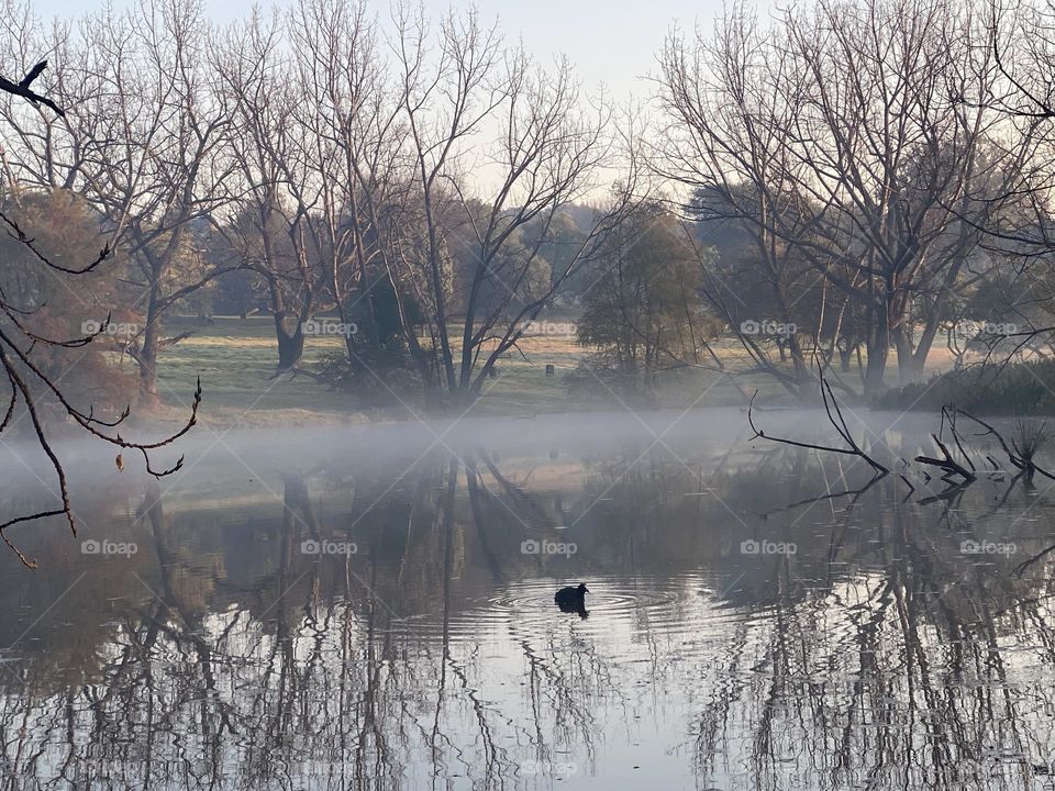 Misty winters day 