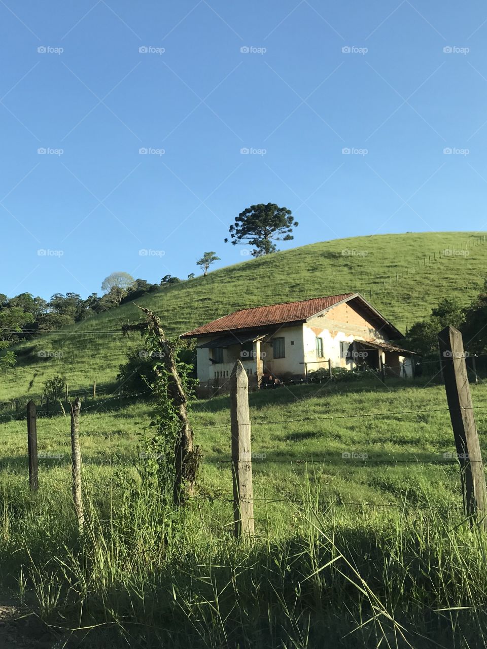 Sul de Minas Gerais - Brasil