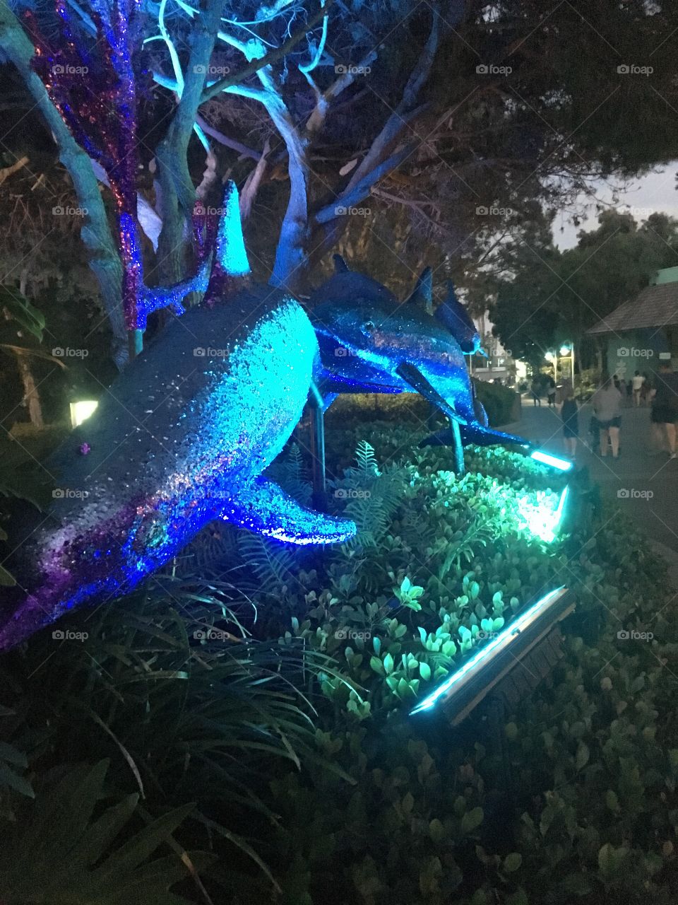 Dolphins play in the moonlight garden. 