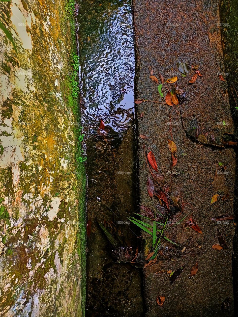 The narrow water stream which has dried up