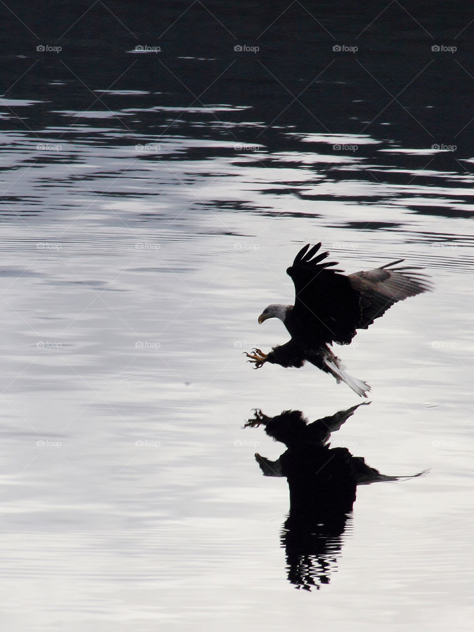 lake reflection fly fishing by Garbonzobean